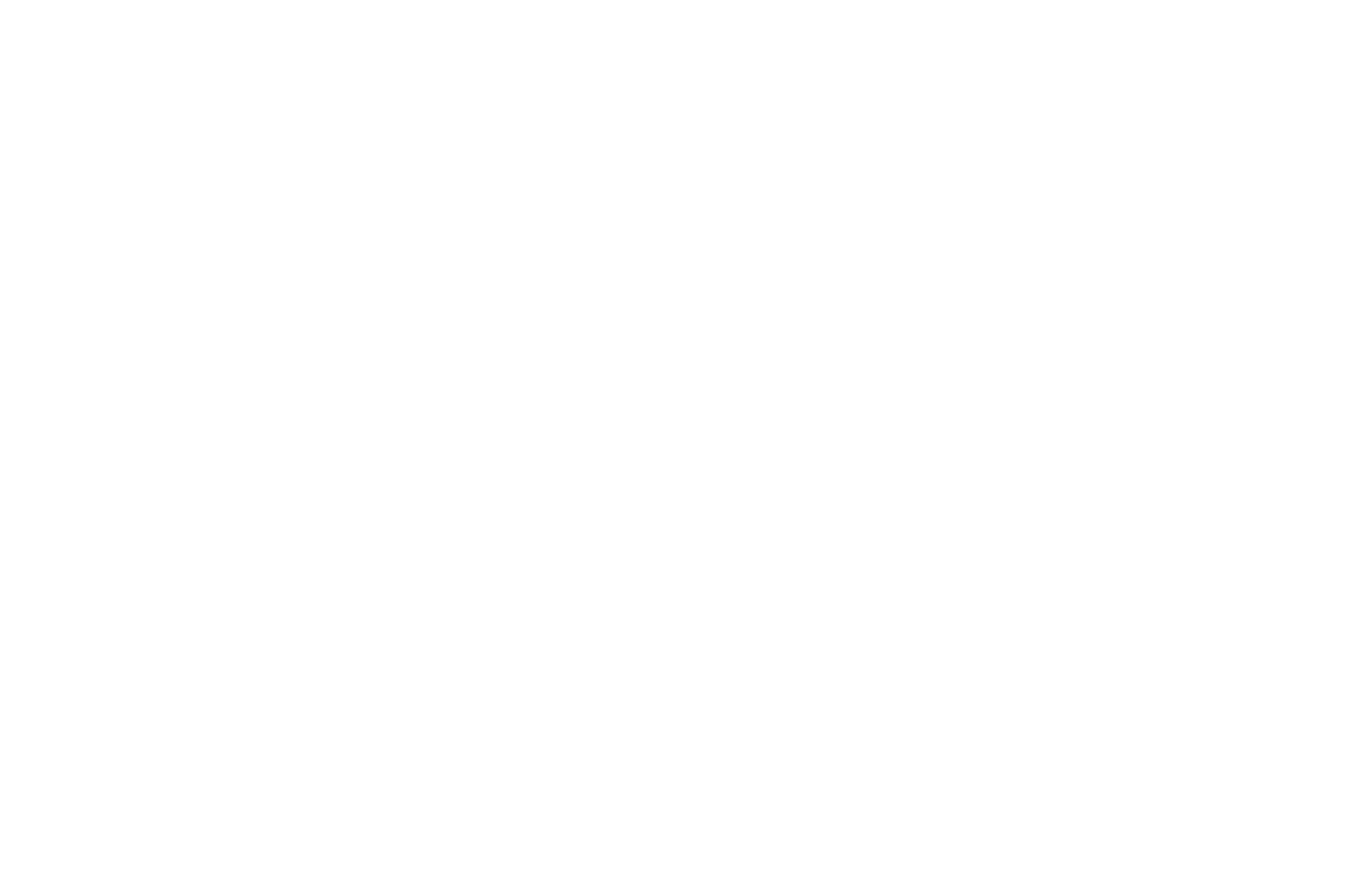 لوگو سفید خدمات الکترونیک یارا